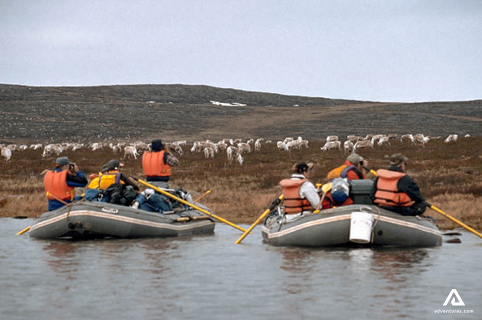 people in two rafts watching caribou in nunavut