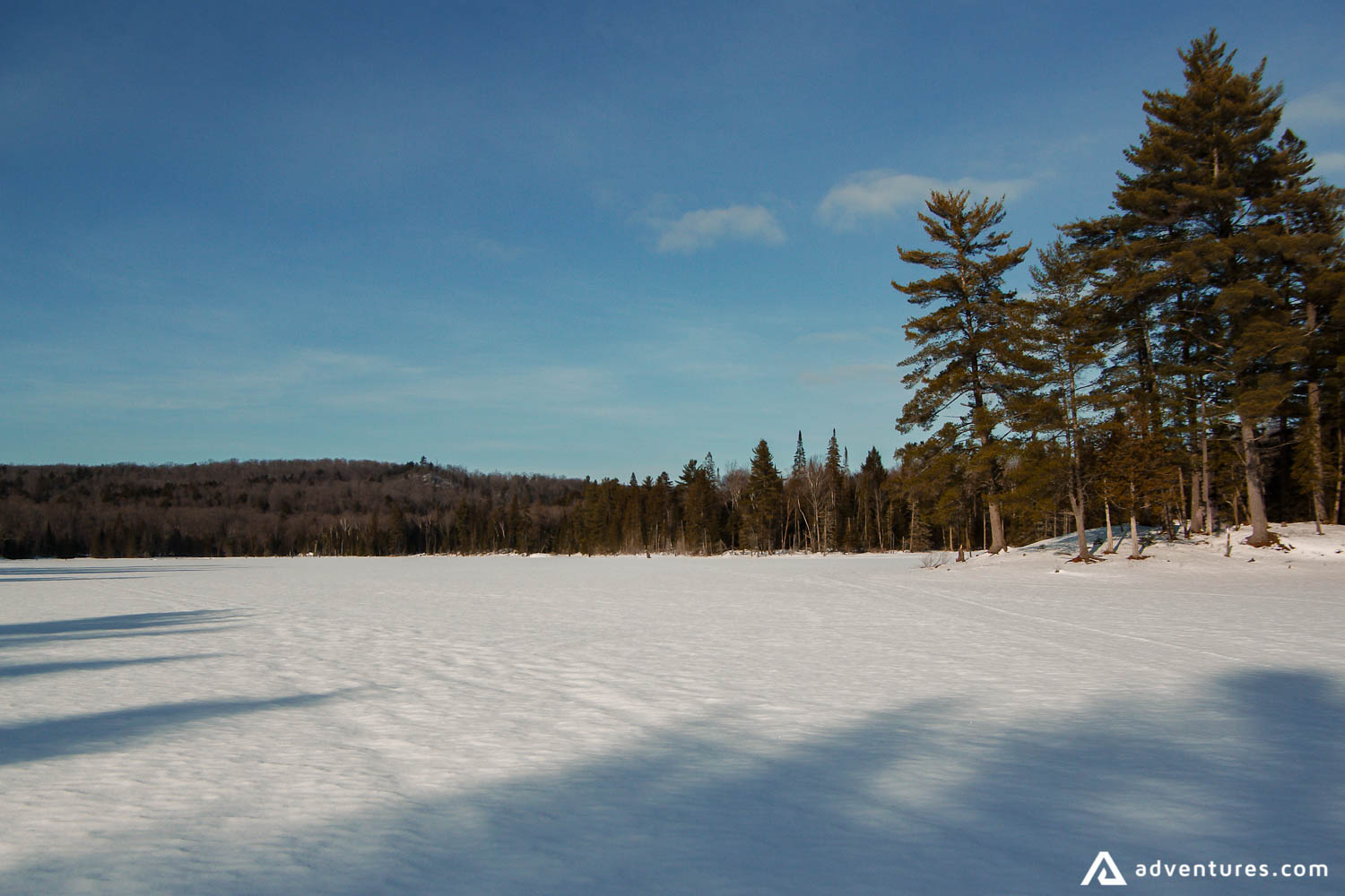 frozen lake in winter