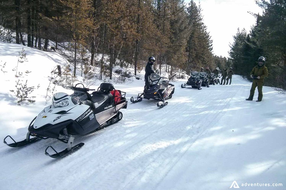 snowmobiling on a forest trail
