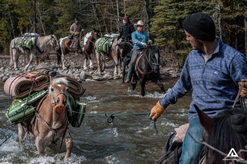 leading horses through a river in canada