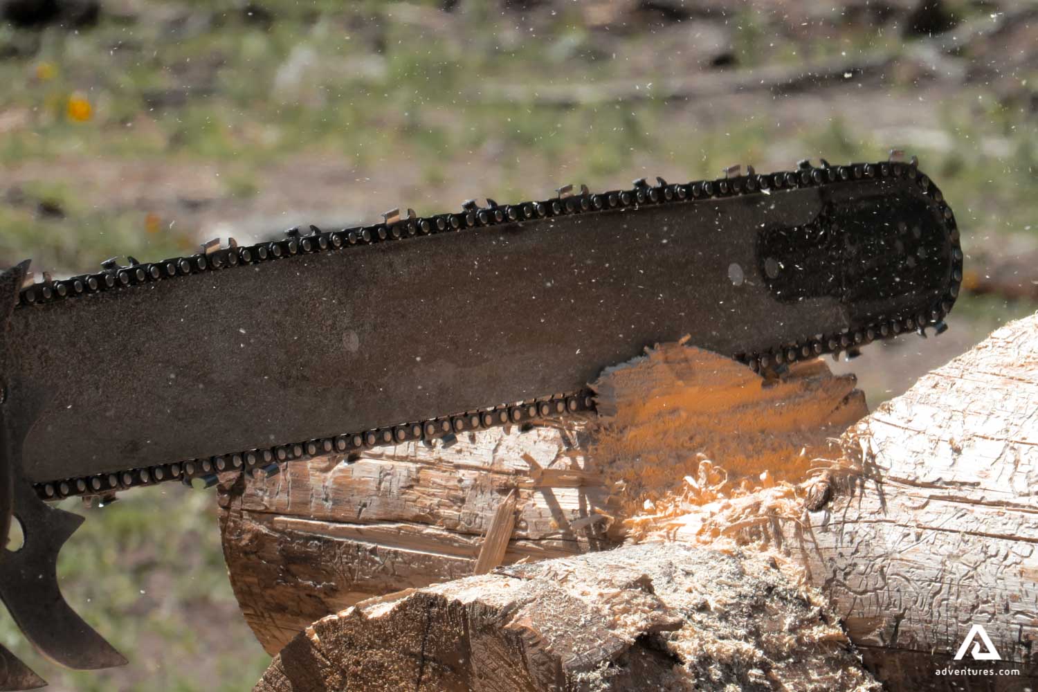 cutting a log with a chainsaw