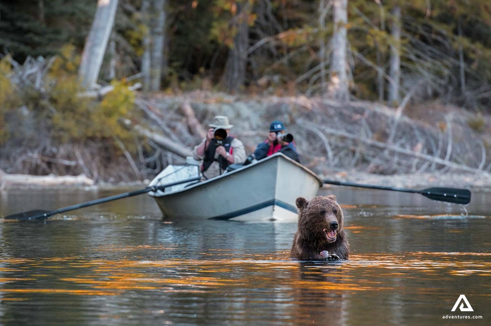 photographer in a boat watching a bear in canada