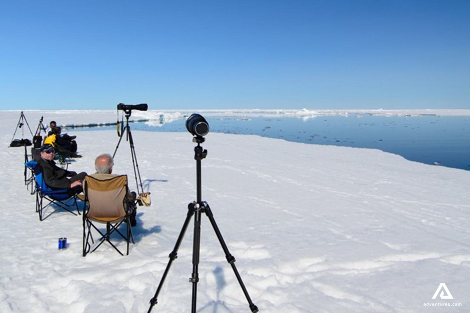 photographers waiting for polar bears on ice