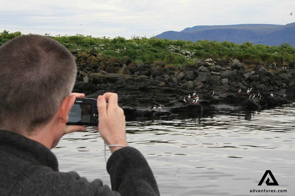 taking pictures of a puffin in iceland