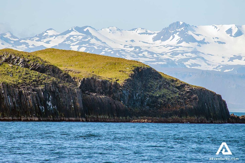 Breidafjordur Cliffs in iceland in summer