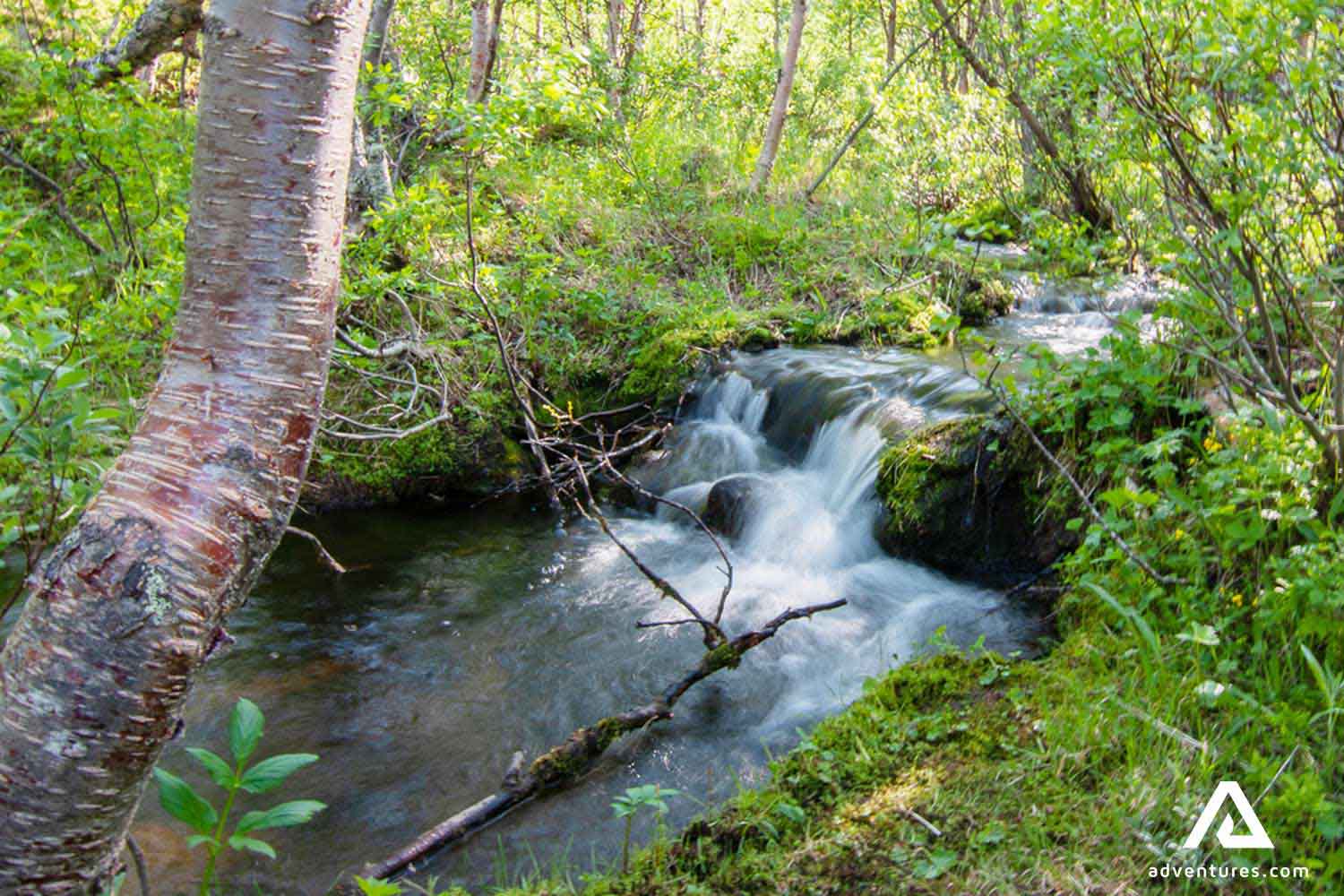 small river flowing in sarek national park in sweden