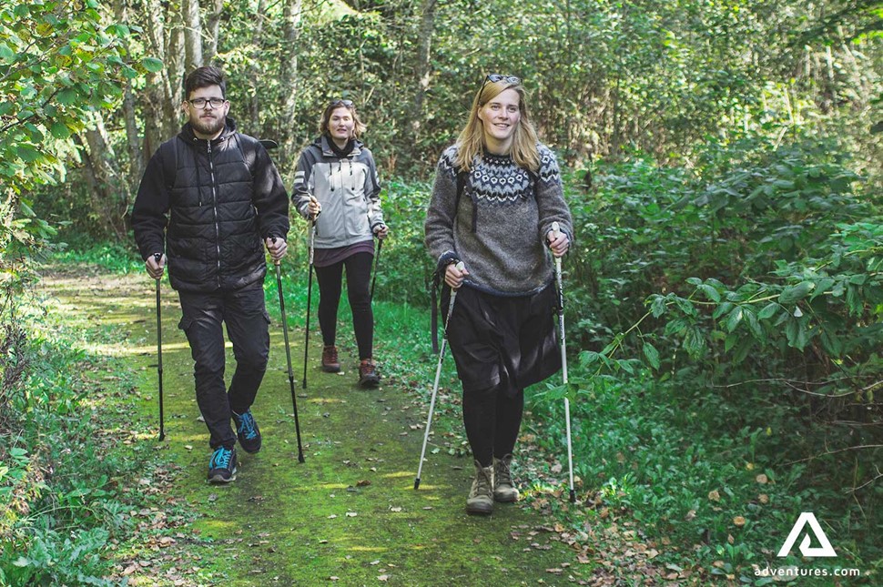 three friends hiking in a forest in lithuania at summer