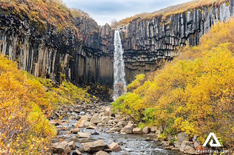 svartifoss waterfall view in autumn in skaftafell