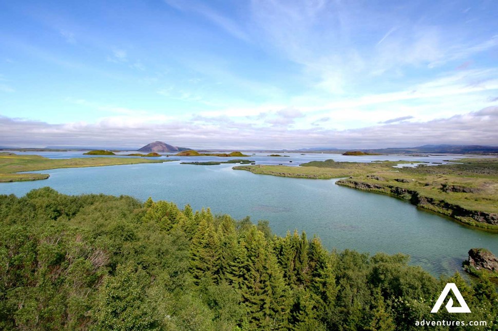myvatn lake view with trees around it in summer