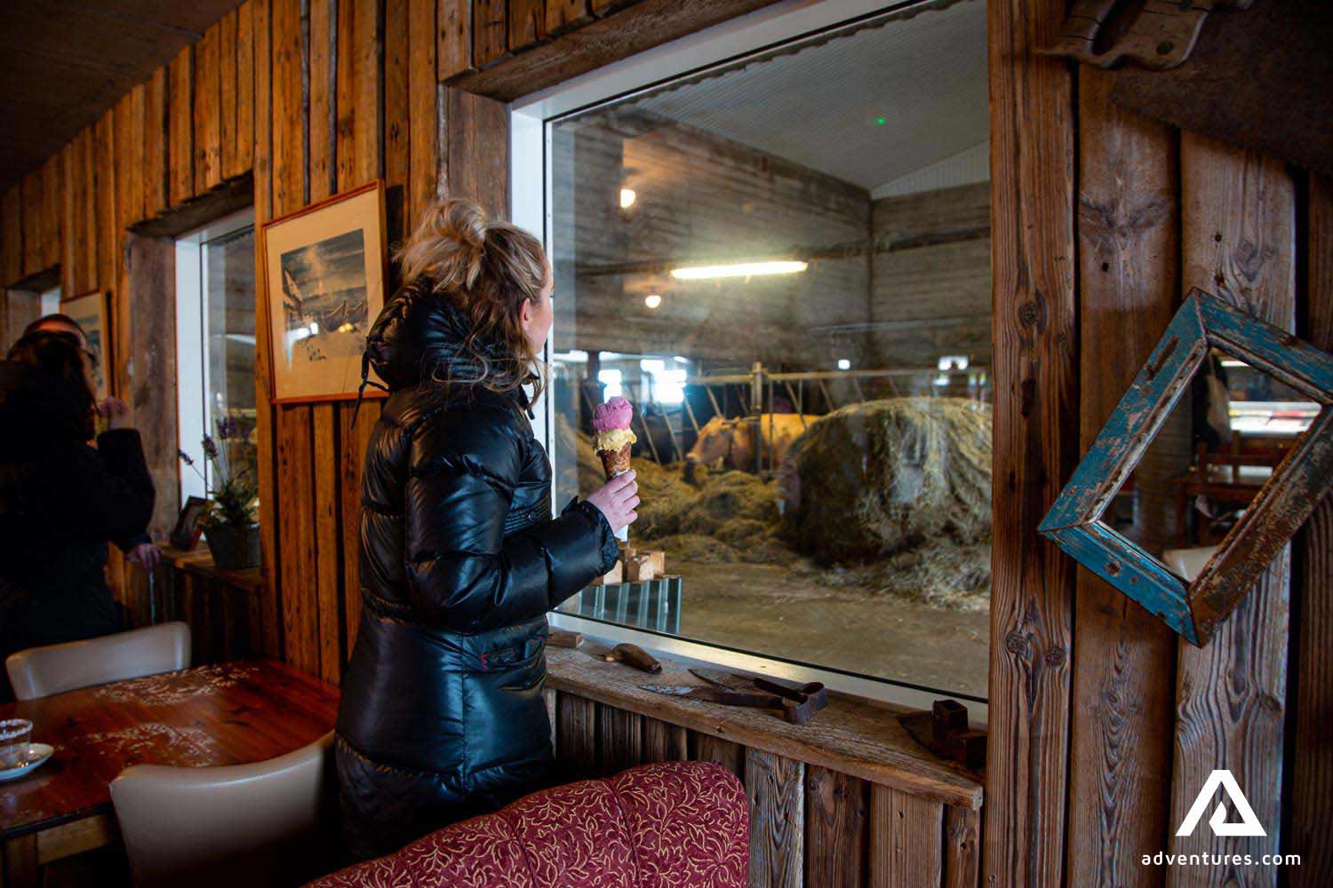 Efstidalur Guesthouse near Gullfoss