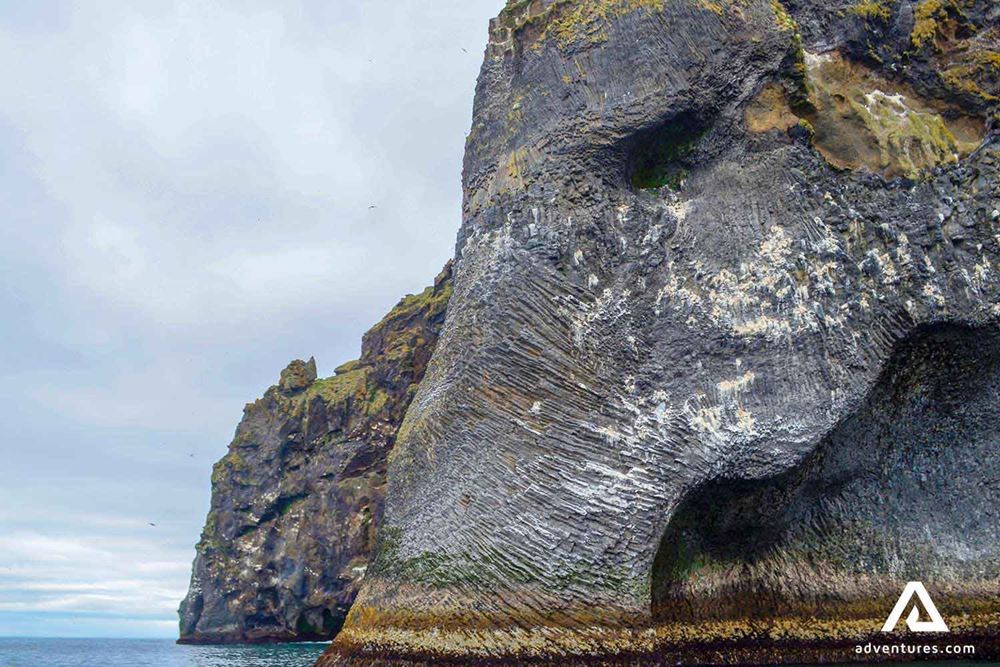 close up view of elephant rock