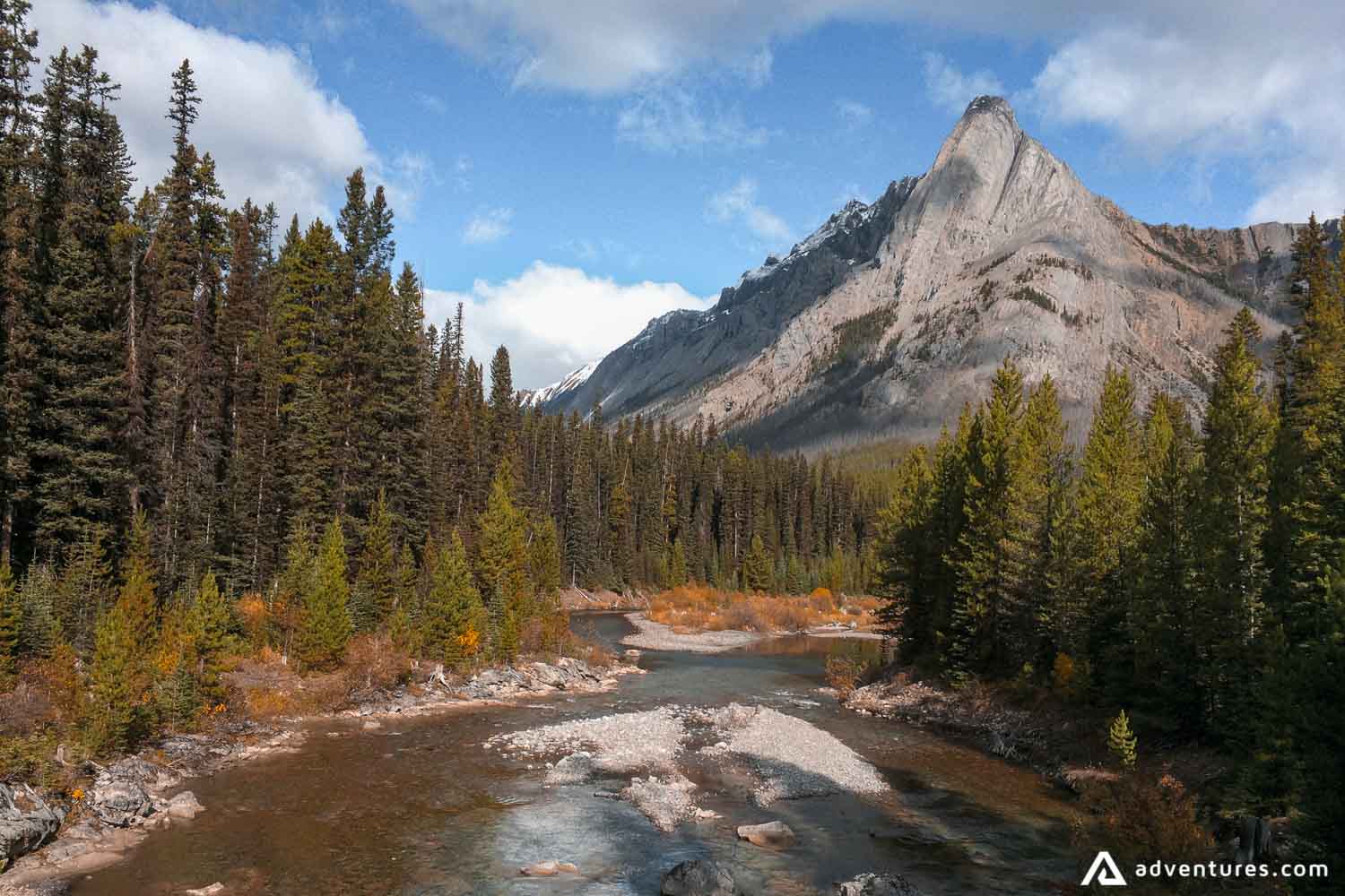 Mountain River Forest 