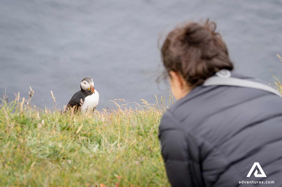a woman watching a puffin closely