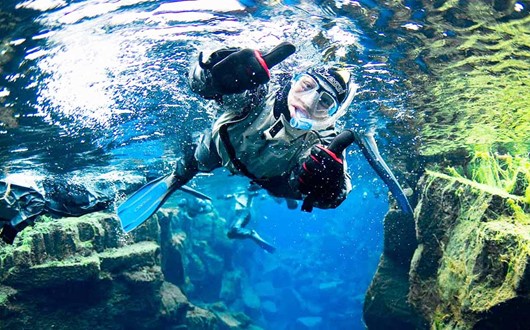 Snorkeling/Diving Tours
