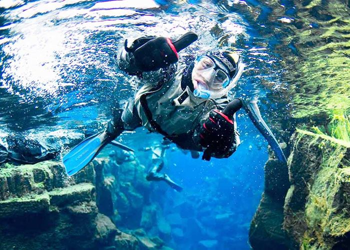 Cairns Dive