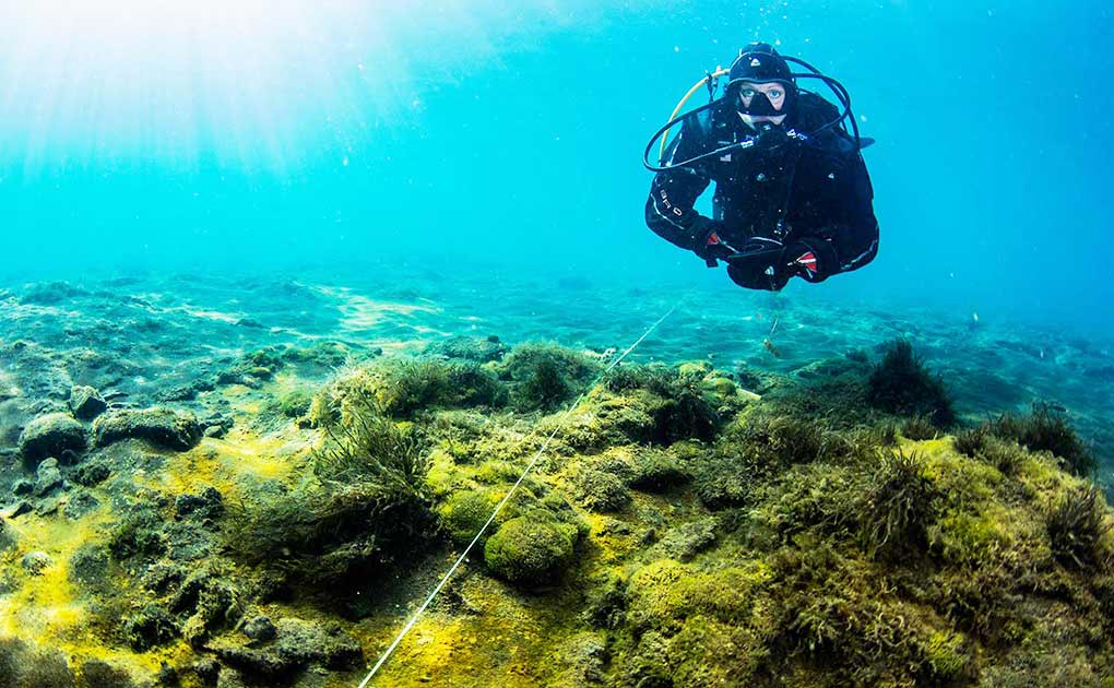 Tauchtour zu heißen Quellen