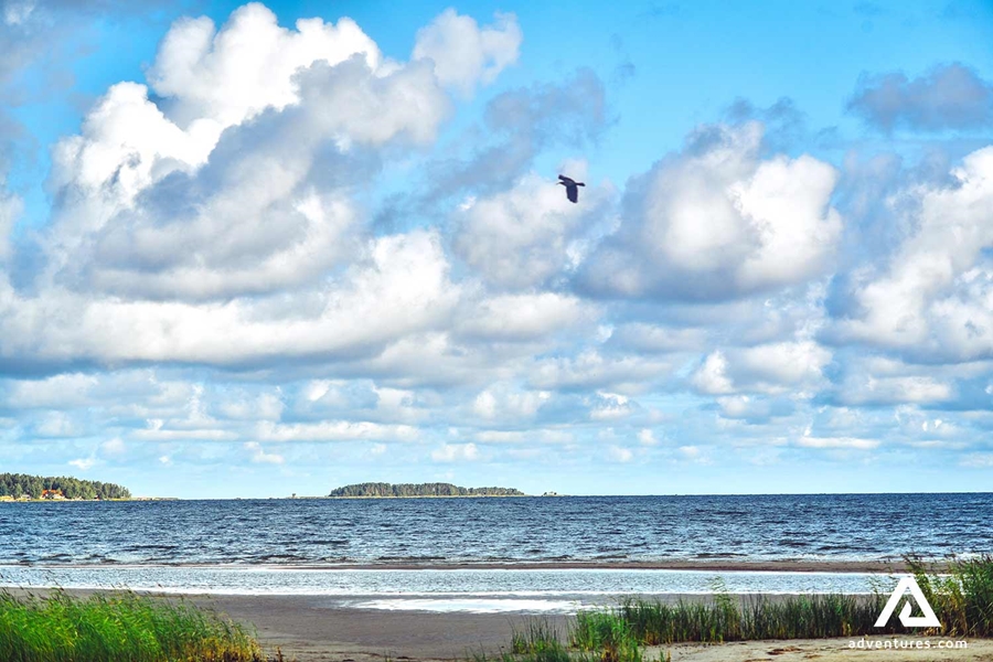 baltic sea view near nida