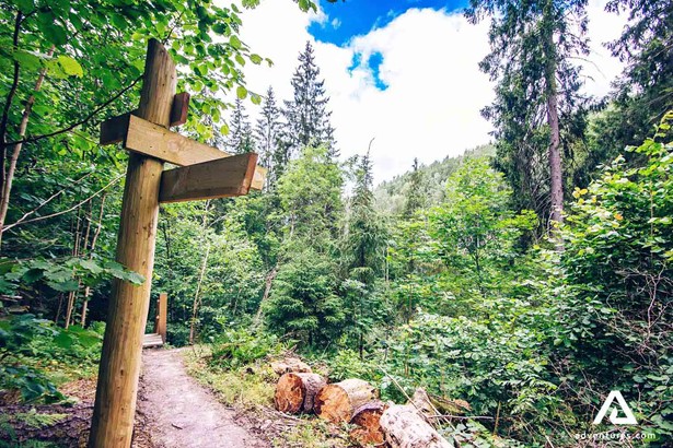 signpost in a lithuanian forest in summer