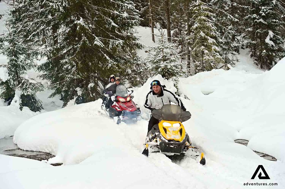 snowmobiling through a forest in winter