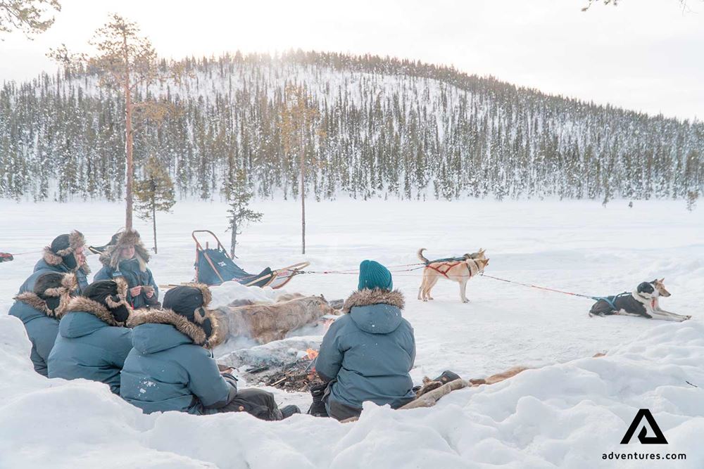 group relaxing after dog sledding