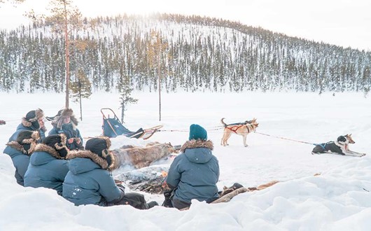 Lapland Dog Sledding Lunch Tour 