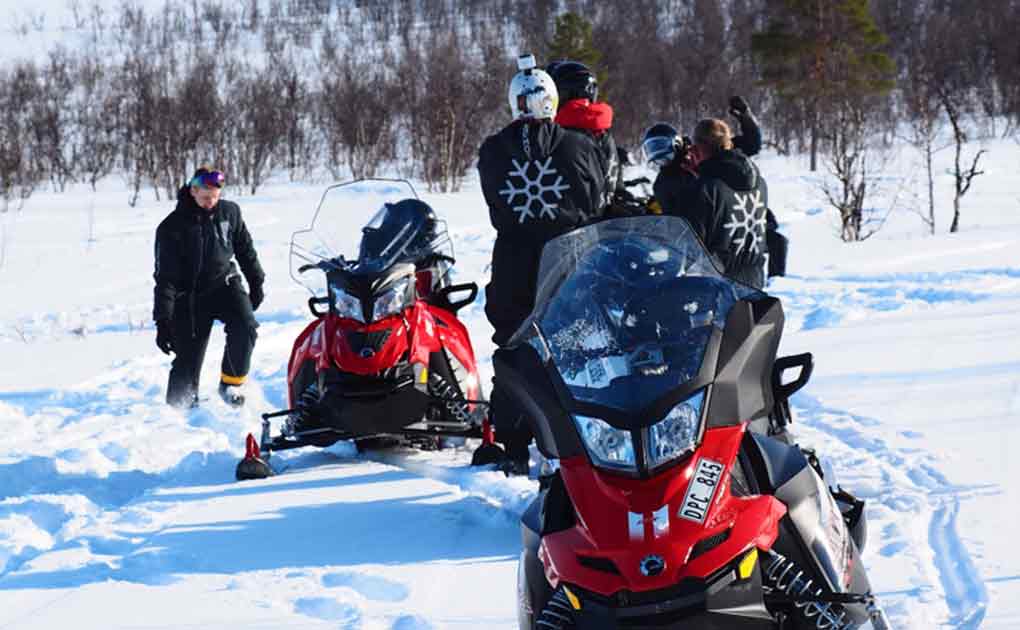 Arctic Wildlife Safari with Snowmobile