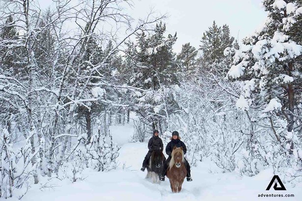 riding horses through snow in winter