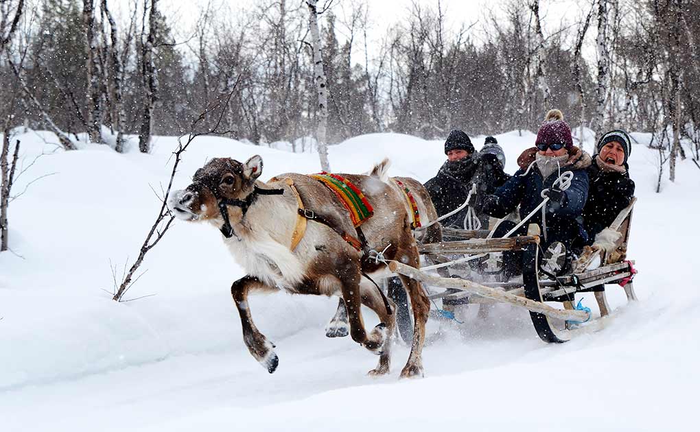 4-day Winter Adventure 