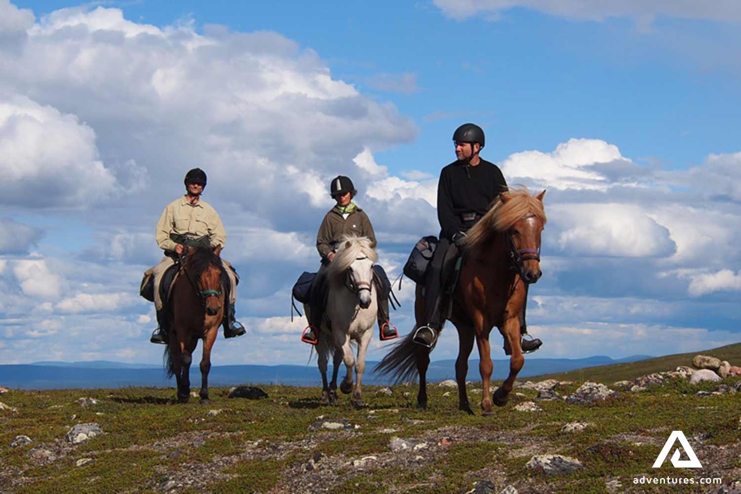 happy people riding horses in sweden