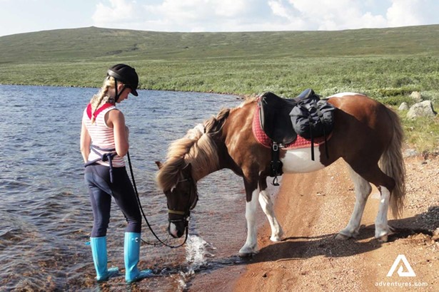 horse drinking water from a lake