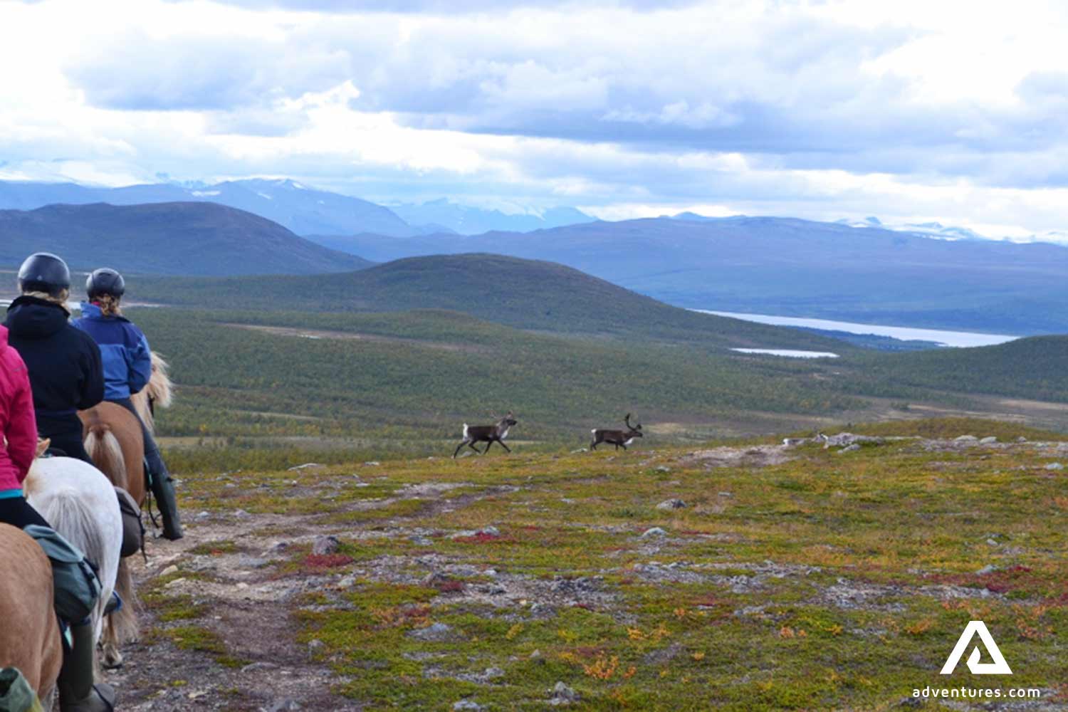 horse riders spotting reindeers in sweden