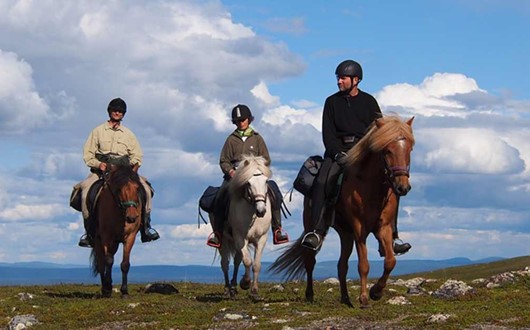 Horse riding trip on the Biellugis Trail
