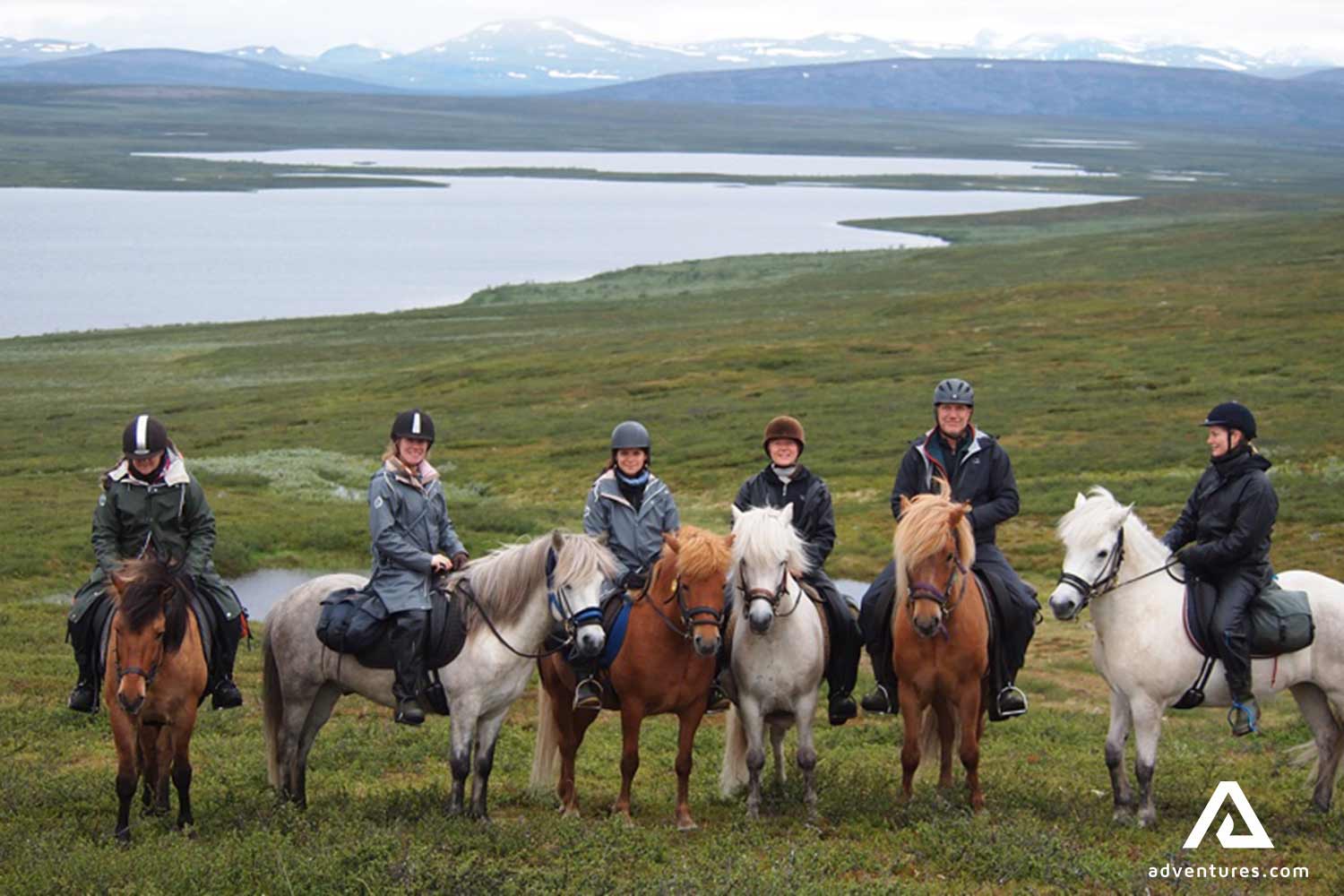 happy group posing for a picture with horses in sweden