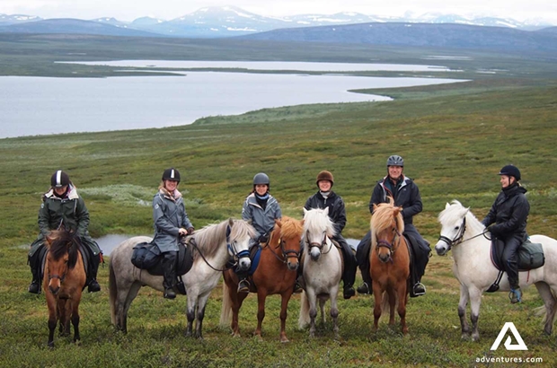 happy group posing for a picture with horses in sweden