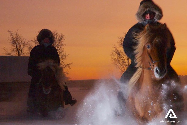 horse riding at sunrise in winter