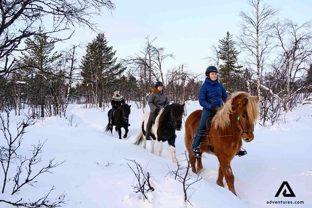 riding horses through snow in lapland