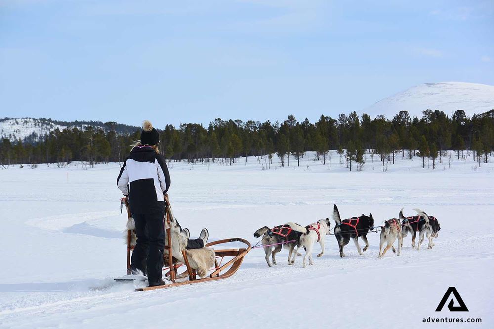 dogsledding through a winter frozen lake