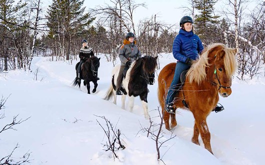 7-day Winter Week on Horseback 