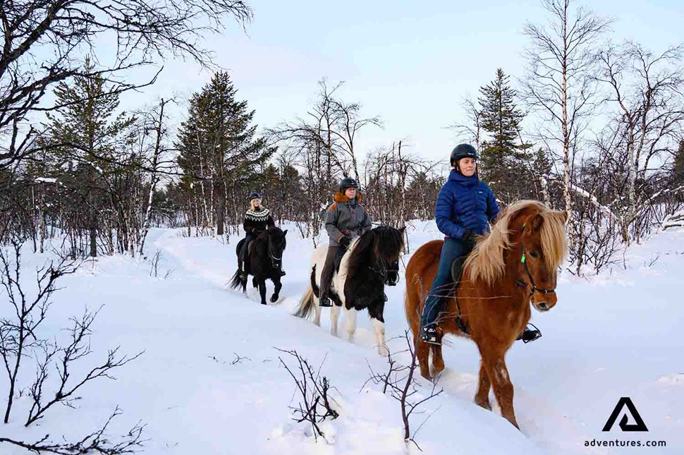 horse riding in sweden lapland at winter 
