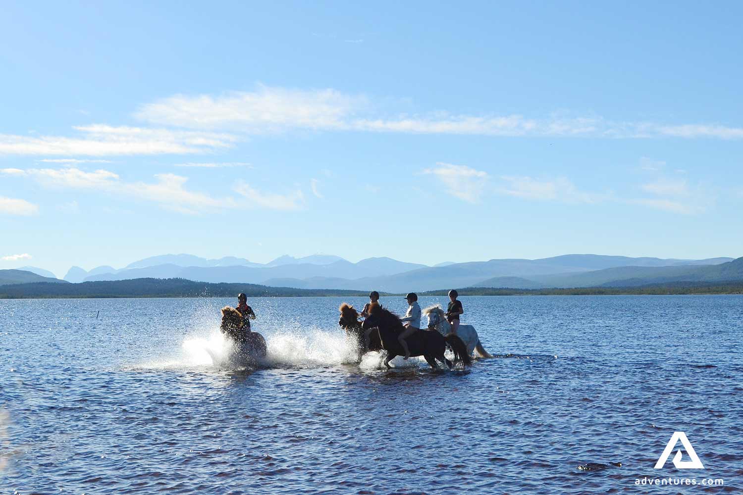 fast horse riding through a lake in ratekjokk
