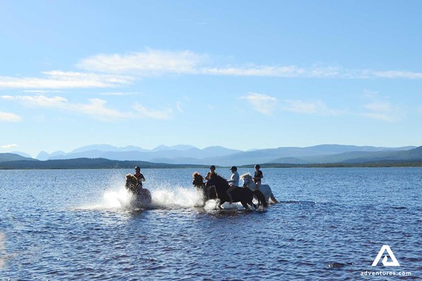 fast horse riding through a lake in ratekjokk