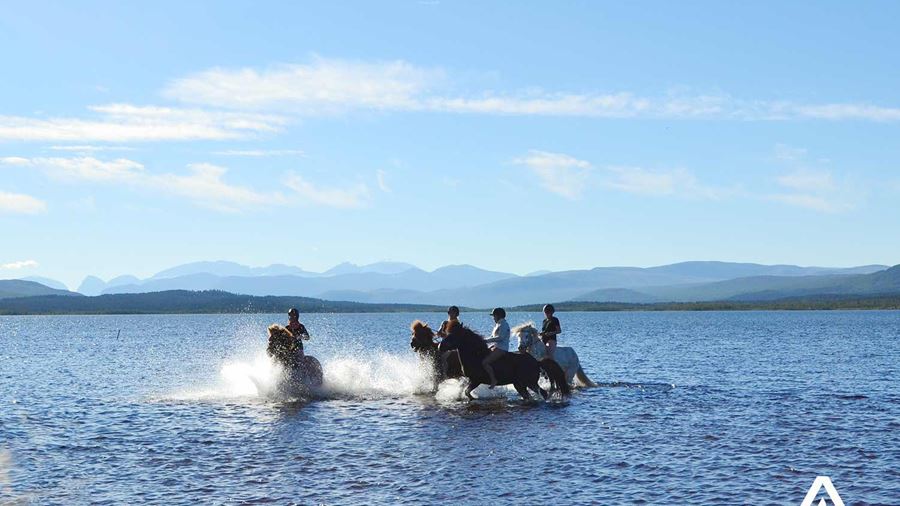 fast horse riding through a lake