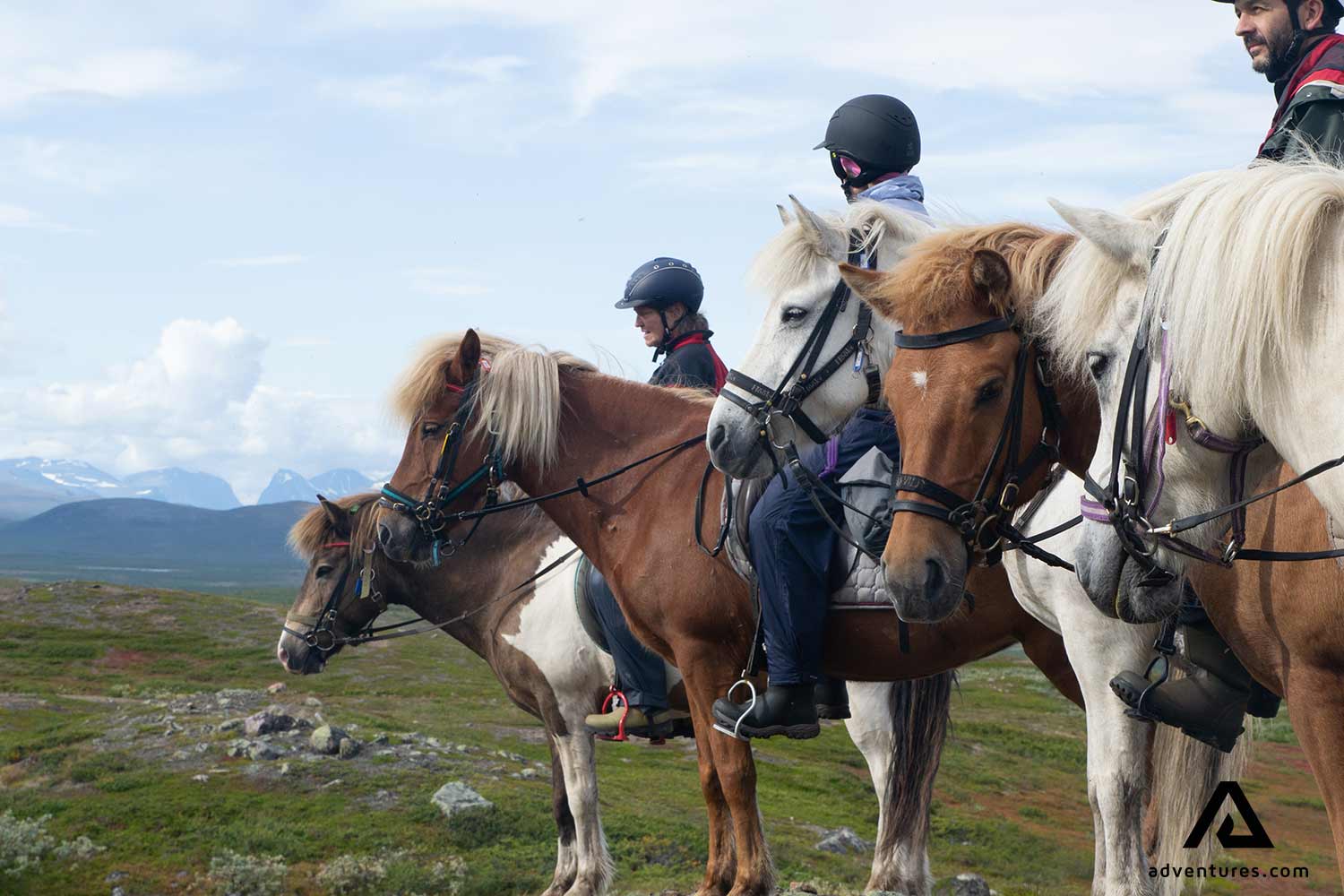 horse riders lined up for a picture in sweden