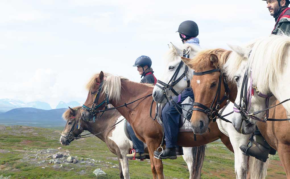 Experience the Magic of the Ratekjokk Trail in Sweden 