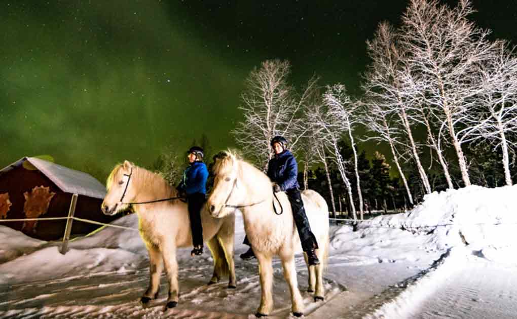 Northern Lights Tour on Horseback 
