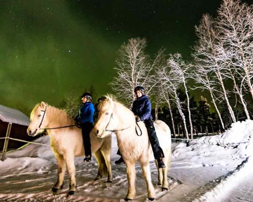 Northern Lights Tour on Horseback 