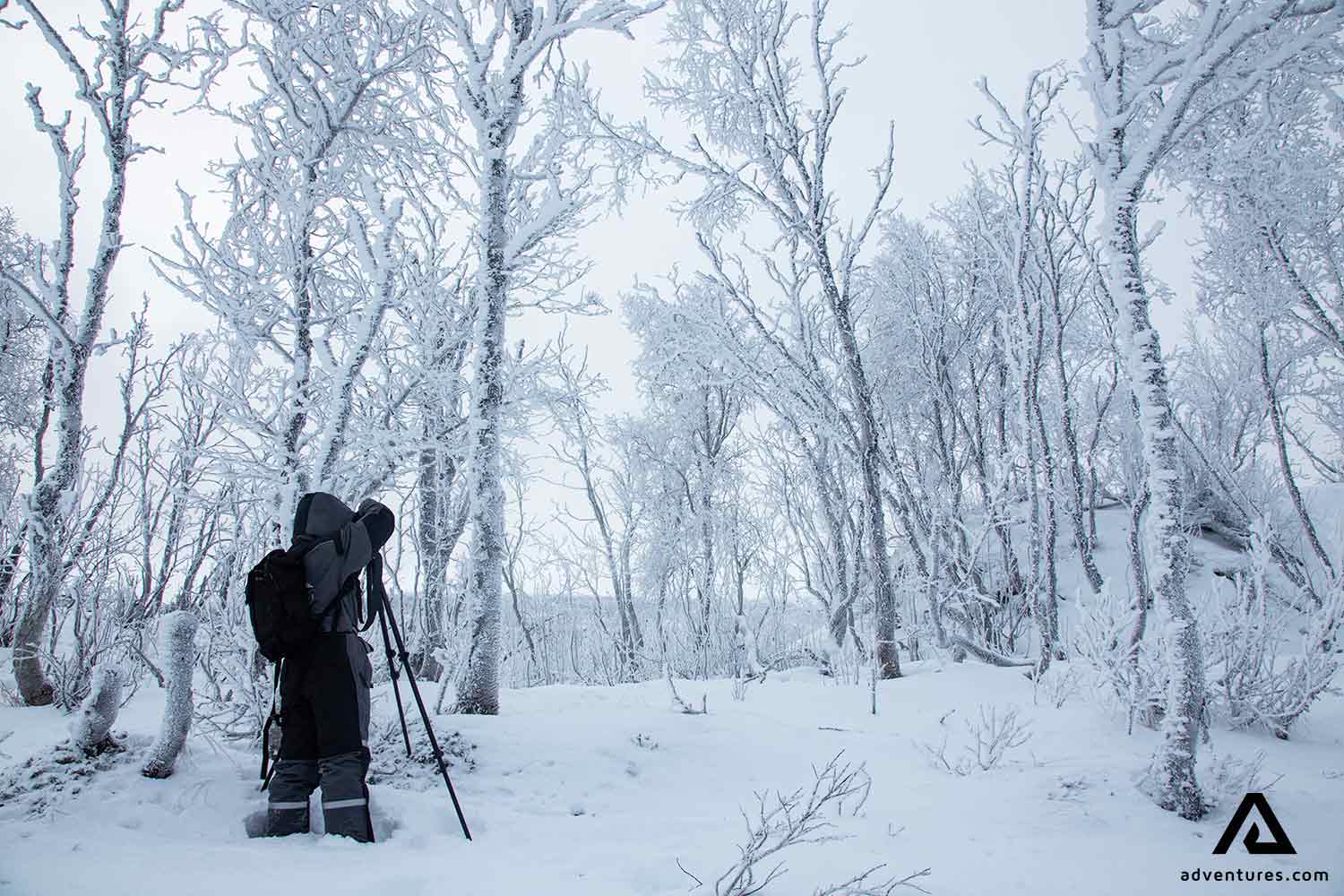 photographer in sweden lapland