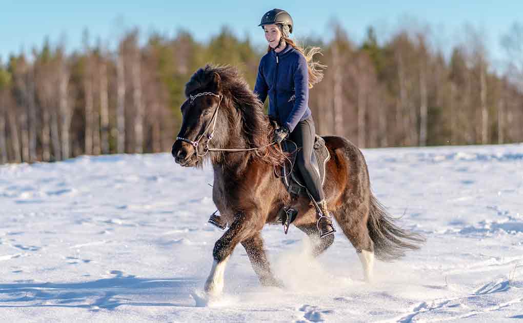Horseback Riding Tours in Sweden