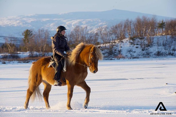 woman riding a horse at sunset in winter