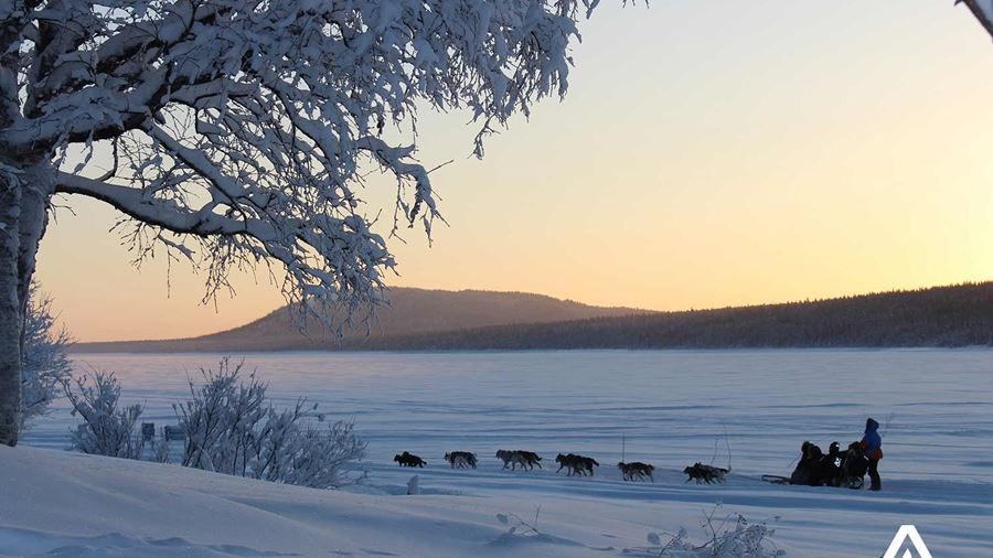 dogsledding through a frozen lake